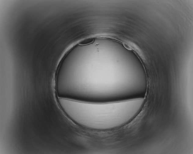 X0000094781428200711160841