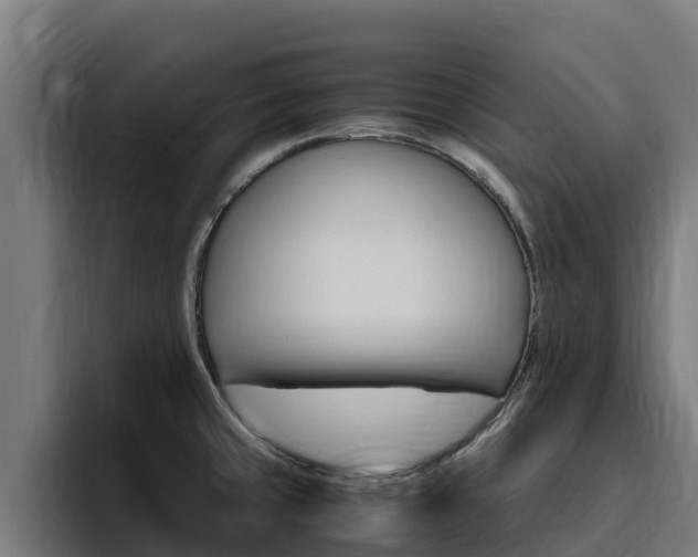 X0000094781429200711160841