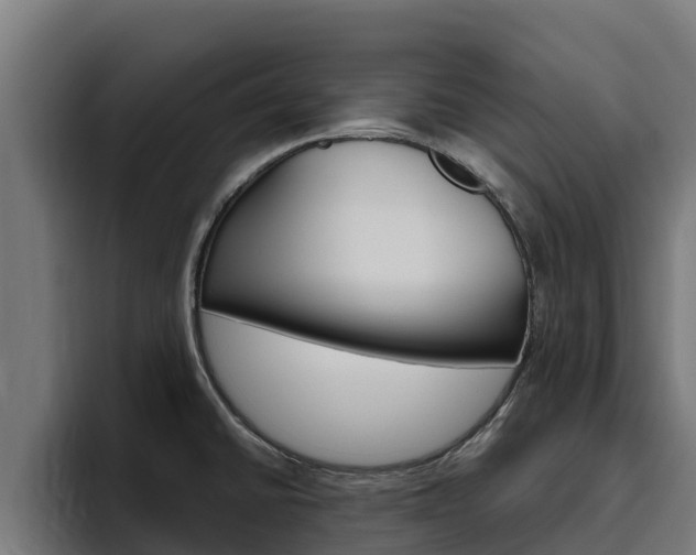 X0000094781430200711160841