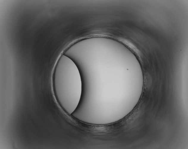 X0000094781431200711160841