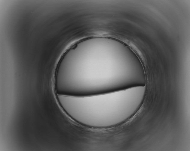 X0000094781432200711160841