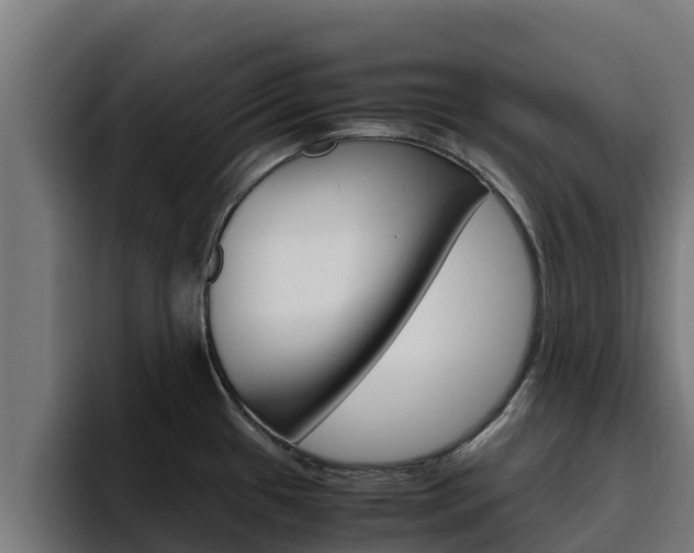 X0000094781433200711160841
