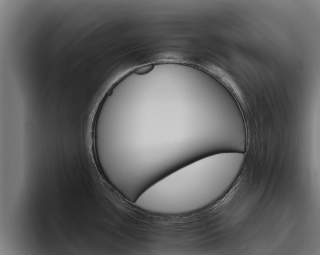 X0000094781435200711160841