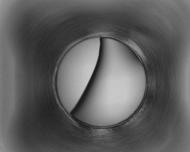 X0000094781436200711160841