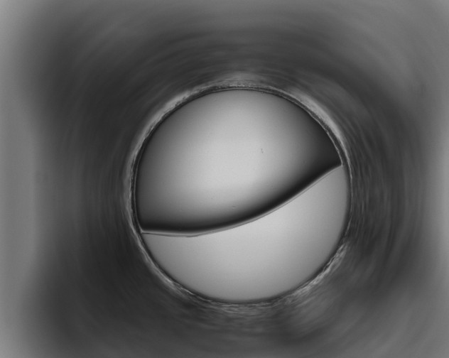 X0000094781437200711160841