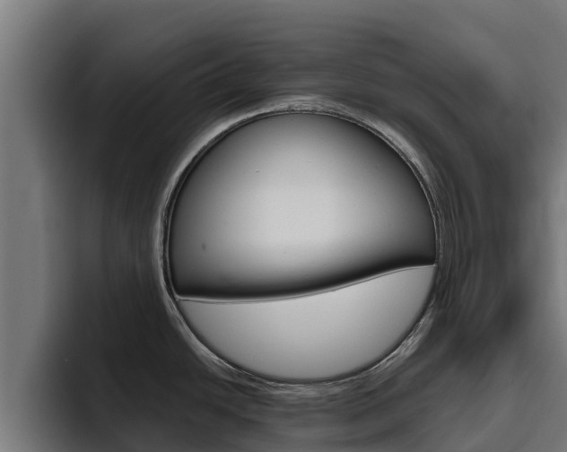 X0000094781438200711160841