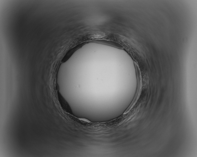 X0000094781441200711160841