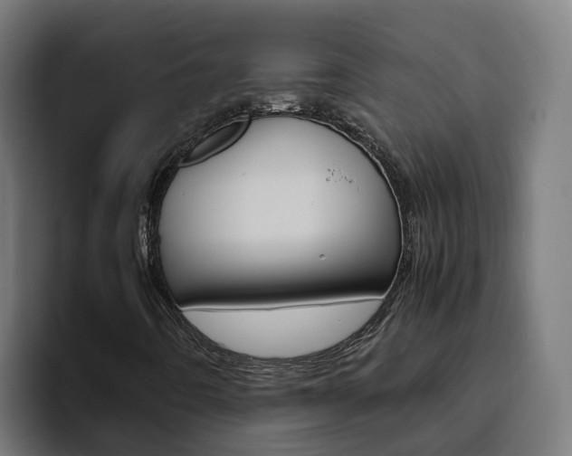 X0000094781442200711160841