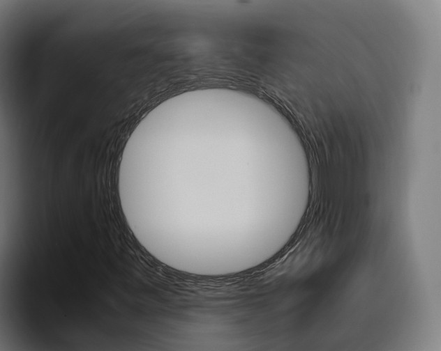 X0000094781443200711160841