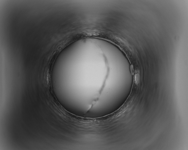 X0000094781444200711160841