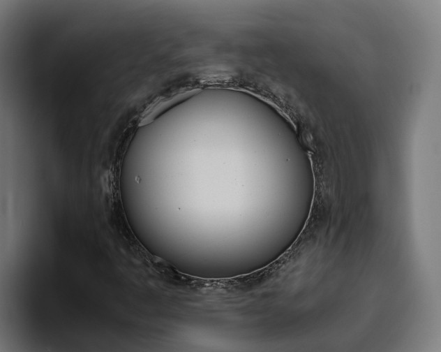 X0000094781445200711160841