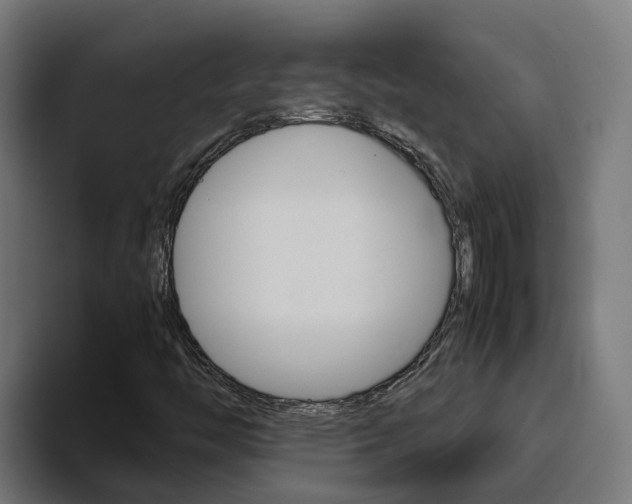X0000094781446200711160841