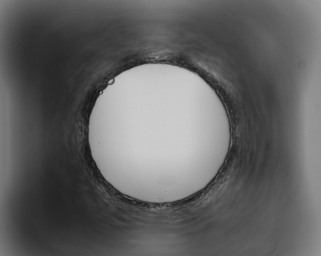 X0000094781447200711160841