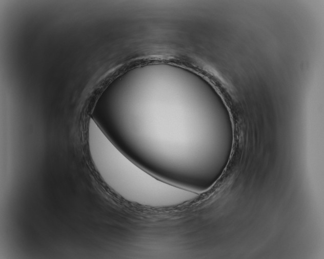 X0000094781448200711160841