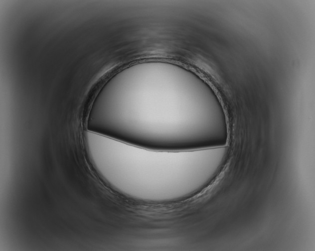 X0000094781450200711160841