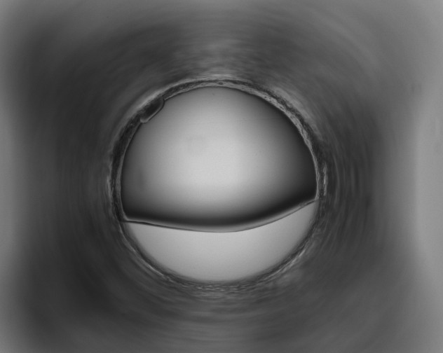X0000094781452200711160841