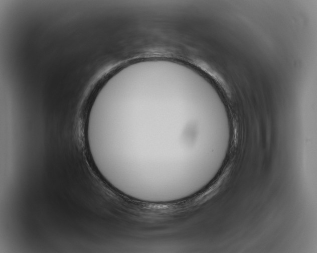 X0000094781454200711160841