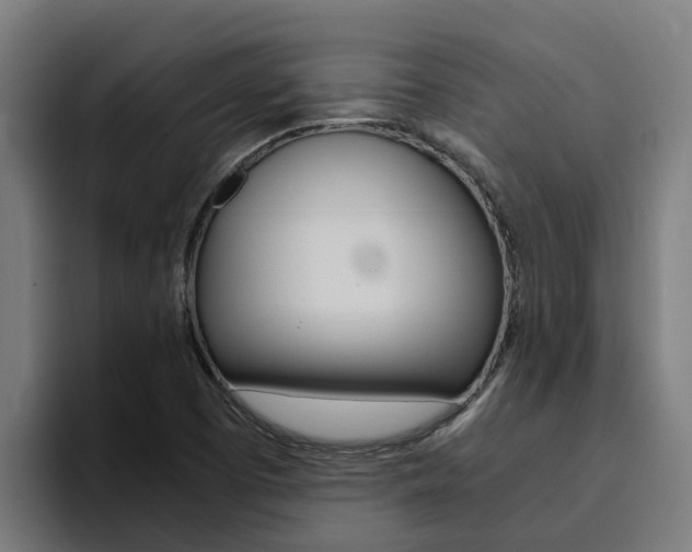 X0000094781457200711160840