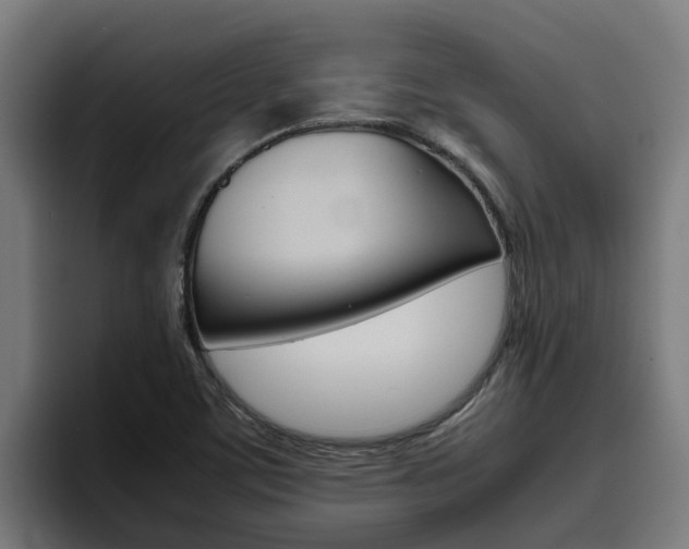 X0000094781459200711160840