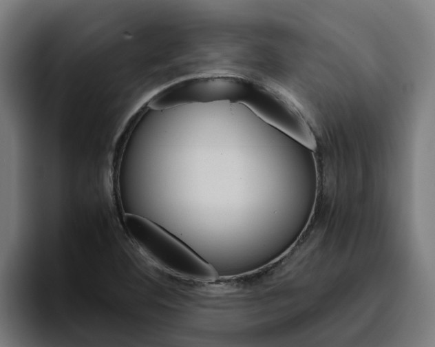 X0000094781460200711160840