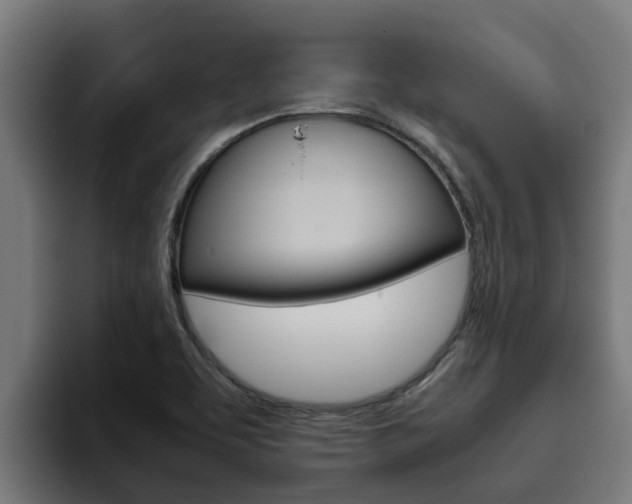 X0000094781463200711160840