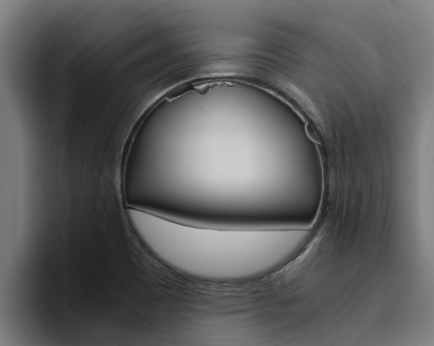 X0000094781465200711160840