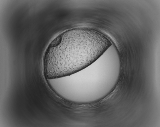 X0000094781467200711160840