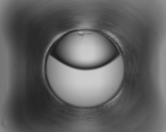 X0000094781469200711160840