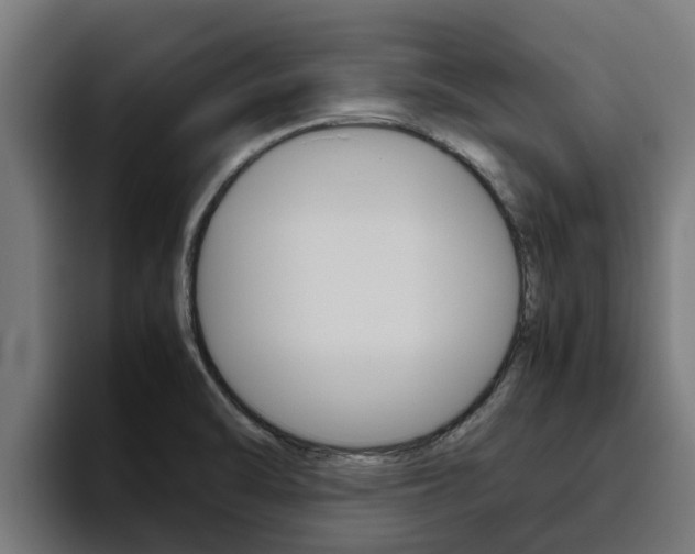 X0000094781470200711160840