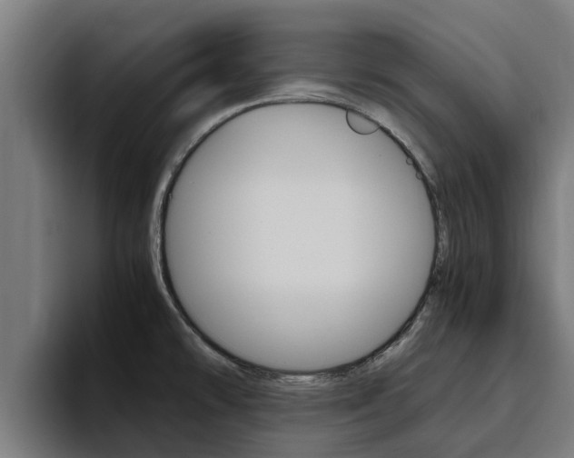 X0000094781478200711160840