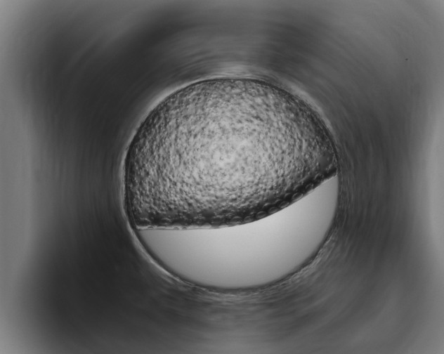 X0000094781479200711160840