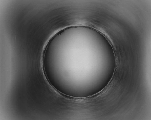 X0000094781480200711160840