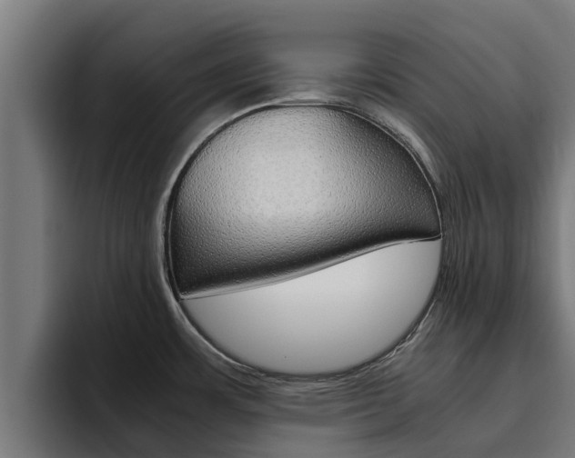 X0000094781483200711160840