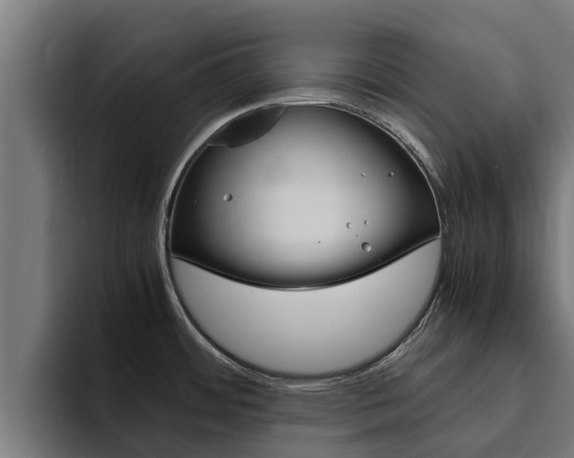X0000094781484200711160840
