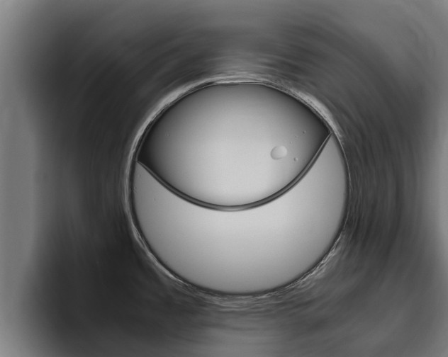 X0000094781485200711160840