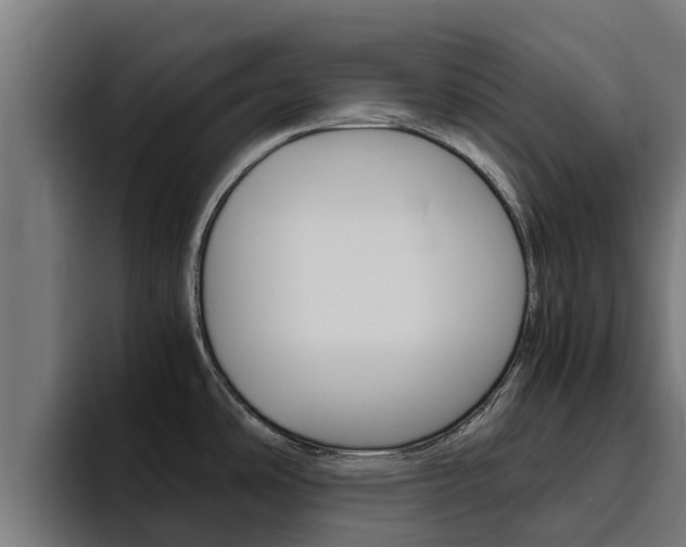 X0000094781486200711160840