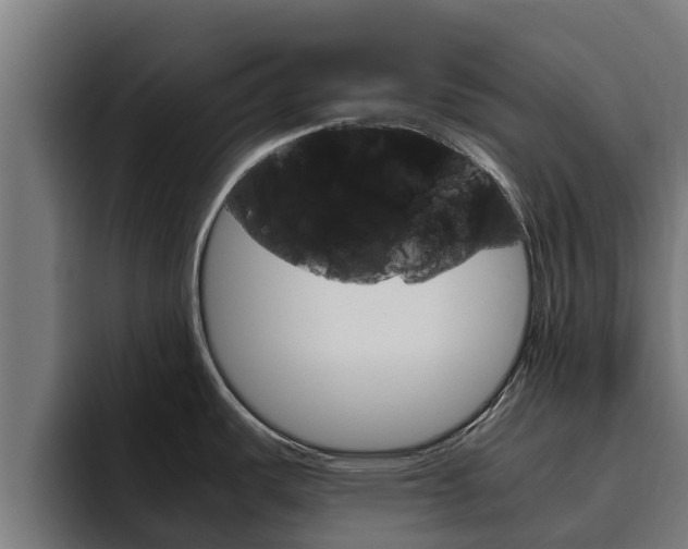 X0000094781487200711160840