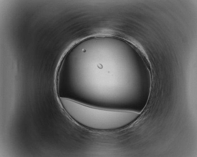 X0000094781488200711160840