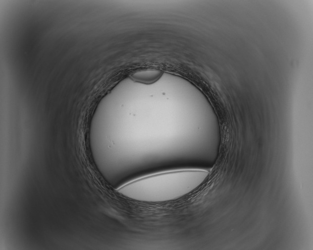 X0000094781489200711160839