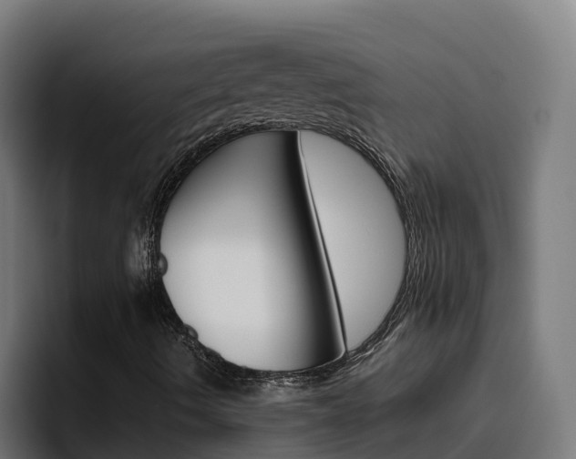 X0000094781490200711160839