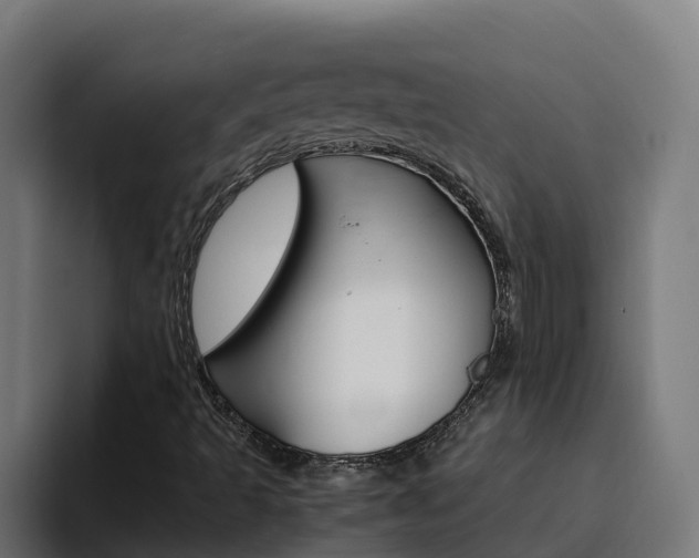 X0000094781493200711160839
