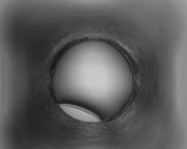X0000094781495200711160840