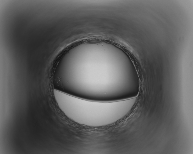 X0000094781496200711160840