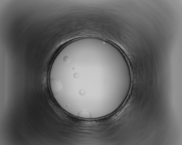 X0000094781499200711160840