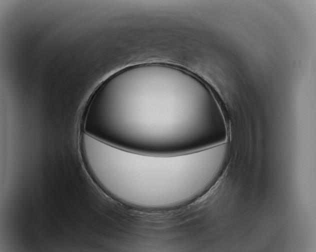 X0000094781500200711160840