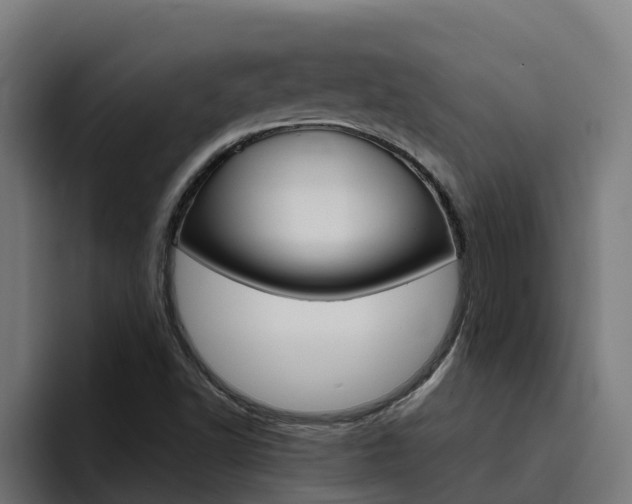X0000094781502200711160840