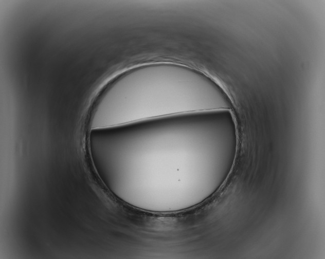 X0000094781503200711160840