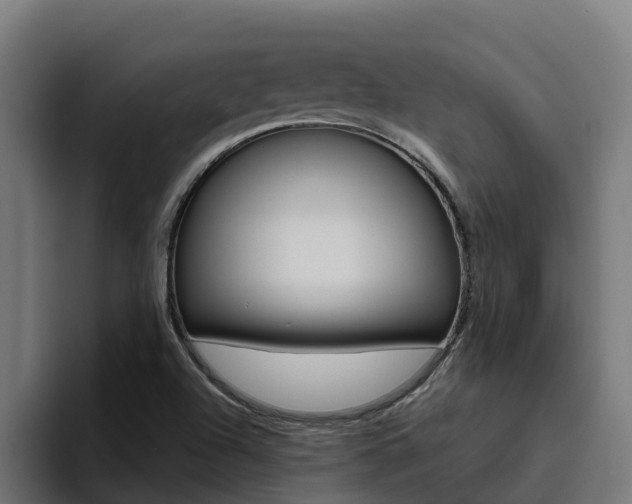 X0000094781504200711160840