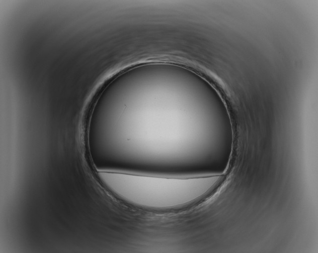 X0000094781506200711160840