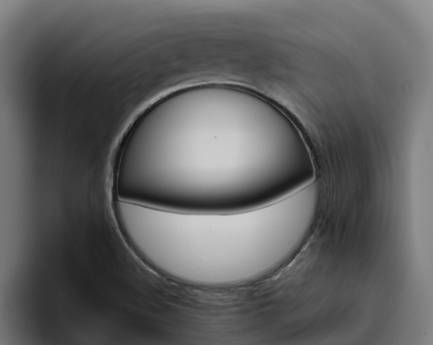 X0000094781508200711160840